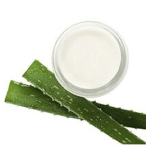 REVE D'ALOES - Therese Moreau - prinquiau - foire expo la chapelle des marais - luckycom mathilde boudet